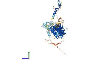 AlphaFold protein structure predicition of Mouse Recombinant Riok1 Protein, UniprotID Q922Q2 (RIOK1 Protein (AA 1-567) (His tag))
