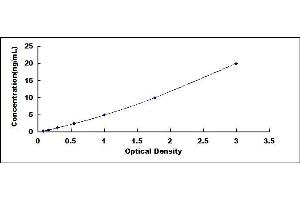 Typical standard curve (SQLE ELISA Kit)