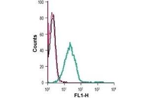Cell surface detection of SVCT2 in live intact human Jurkat T-cell leukemia cells: (black line) Cells. (SLC23A2 antibody  (2nd Extracellular Loop))
