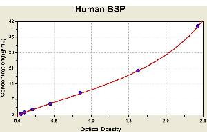 Diagramm of the ELISA kit to detect Human BSPwith the optical density on the x-axis and the concentration on the y-axis. (IBSP ELISA Kit)