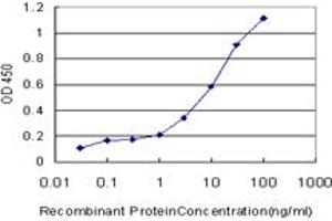Detection limit for recombinant GST tagged ERBB3 is approximately 0. (ERBB3 antibody  (AA 21-331))
