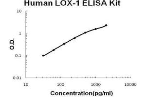 Human LOX-1/OLR1 PicoKine ELISA Kit standard curve
