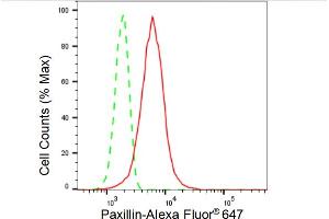 Flow cytometric analysis of Paxillin expression in HT- cells using Paxillin antibody (ABIN7799744), 1:2,000).