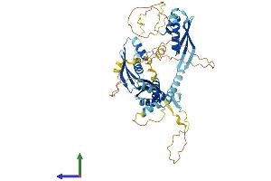 Protein Structure (PS) image for Staufen Double-Stranded RNA Binding Protein 1 (STAU1) (AA 1-487) protein (His tag) (ABIN7556367)