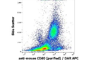 Flow cytometry surface staining pattern of murine peritoneal fluid cell suspension stained using anti-mouse CD80 (16-10A1) Purified antibody (concentration in sample 2 μg/mL). (CD80 antibody)