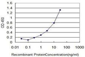 Detection limit for HbA1c is approximately 1ng/ml as a capture antibody. (HBA1 antibody  (N-Term))