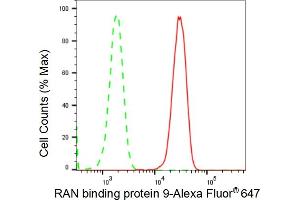 Flow cytometric analysis of RAN binding protein 9 expression in HepG2 cells using RAN binding protein 9 antibody (ABIN7799025), 1:2,000).