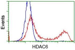 HEK293T cells transfected with either RC209649 overexpress plasmid (Red) or empty vector control plasmid (Blue) were immunostained by anti-HDAC6 antibody (ABIN2453969), and then analyzed by flow cytometry. (HDAC6 antibody)