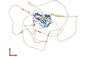 AlphaFold protein structure predicition of Mouse Recombinant Tbx3 Protein, UniprotID P70324 (TBX3 Protein (AA 1-741) (His tag))