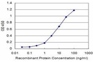 Detection limit for recombinant GST tagged PRKRIP1 is approximately 1ng/ml as a capture antibody. (PRKRIP1 antibody  (AA 1-184))