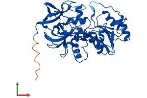AlphaFold protein structure predicition of Human Recombinant ADH7 Protein, UniprotID P40394 (ADH7 Protein (AA 1-386) (His tag))
