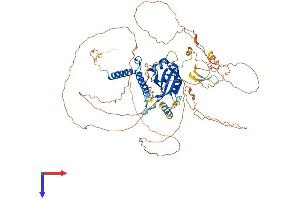 AHRR Protein (AA 1-701) (His tag)