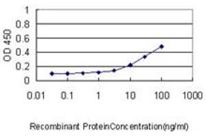 Detection limit for recombinant GST tagged BARX1 is approximately 0. (BARX1 antibody  (AA 1-100))