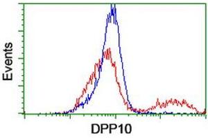 HEK293T cells transfected with either RC205435 overexpress plasmid (Red) or empty vector control plasmid (Blue) were immunostained by anti-DPP10 antibody (ABIN2455092), and then analyzed by flow cytometry. (DPP10 antibody)