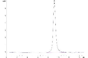 CD180 Protein (AA 21-626) (His tag)