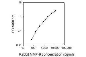 ELISA image for Matrix Metallopeptidase 9 (Gelatinase B, 92kDa Gelatinase, 92kDa Type IV Collagenase) (MMP9) ELISA Kit (ABIN2748383) (MMP 9 ELISA Kit)