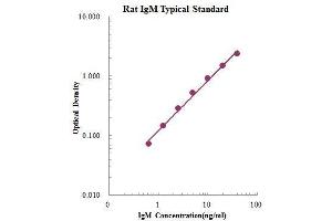 ELISA image for IgM ELISA Kit (ABIN3198446)