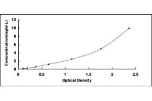 Typical standard curve (BST2 ELISA Kit)