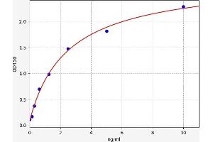 Thyroperoxidase ELISA Kit