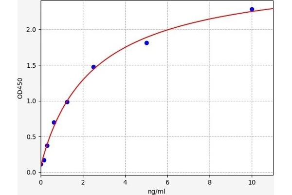 Thyroperoxidase ELISA Kit