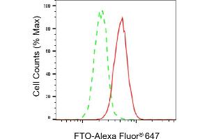 Flow cytometric analysis of FTO expression in HeLa cells using FTO antibody (ABIN7798579), 1:2,000).