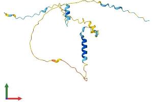 AlphaFold protein structure predicition of Human Recombinant PPP1R1A Protein, UniprotID Q13522 (PPP1R1A Protein (AA 1-171) (His tag))