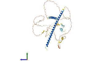 Protein Structure (PS) image for TRAF Family Member-Associated NFKB Activator (TANK) (AA 1-425) protein (His tag) (ABIN7544139)