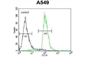 C12orf48 Antibody (C-term) flow cytometric analysis of A549 cells (right histogram) compared to a negative control cell (left histogram). (PARPBP antibody  (C-Term))
