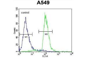 C12orf48 Antibody (C-term) flow cytometric analysis of A549 cells (right histogram) compared to a negative control cell (left histogram).