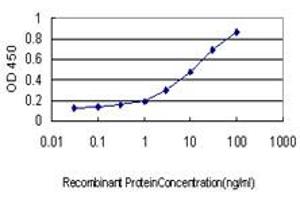 Detection limit for recombinant GST tagged KRAS is approximately 0. (K-RAS antibody  (AA 16-125))