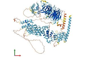 Protein Structure (PS) image for Hermansky-Pudlak Syndrome 5 (HPS5) (AA 1-1129) protein (His tag) (ABIN7554131)