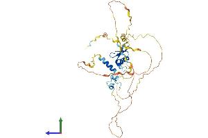 AlphaFold protein structure predicition of Human Recombinant SLC2A4RG Protein, UniprotID Q9NR83 (SLC2A4RG Protein (AA 1-387) (His tag))