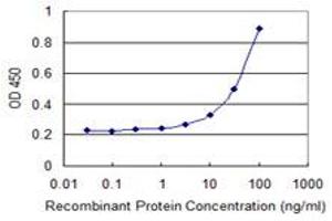Detection limit for recombinant GST tagged DNAJB9 is 1 ng/ml as a capture antibody. (DNAJB9 antibody  (AA 114-223))