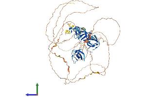 Protein Structure (PS) image for SH3 Domain Containing Ring Finger 2 (SH3RF2) (AA 1-735) protein (His tag) (ABIN7559055)