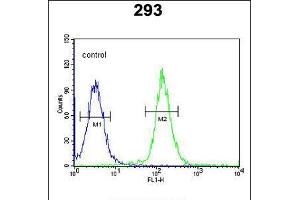 Flow cytometric analysis of 293 cells (right histogram) compared to a negative control cell (left histogram). (CDC45 antibody  (AA 236-263))