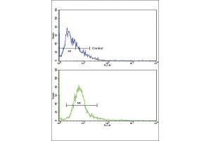 Flow Cytometry (FACS) image for anti-ATP-Binding Cassette, Sub-Family C (CFTR/MRP), Member 1 (ABCC1) antibody (ABIN3002707) (ABCC1 antibody)