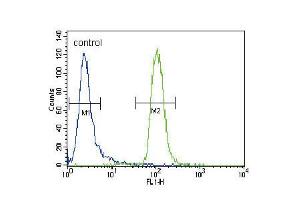Flow cytometric analysis of CEM cells (right histogram) compared to a negative control cell (left histogram). (MUSK antibody  (C-Term))