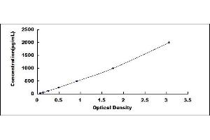 Typical standard curve (ECE1 ELISA Kit)