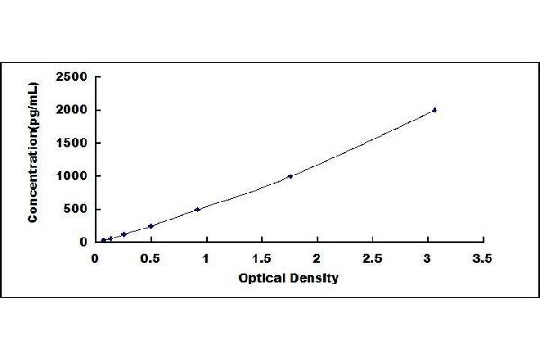 ECE1 ELISA Kit