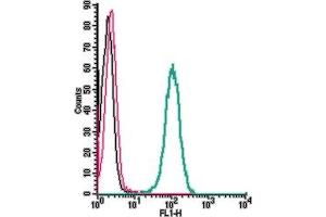 Cell surface detection of TRPM7 by indirect flow cytometry in live intact human  monocytic leukemia cell line: + goat-anti-rabbit-FITC.