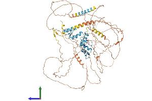 AlphaFold protein structure predicition of Human Recombinant ZNF148 Protein, UniprotID Q9UQR1 (ZNF148 Protein (AA 1-794) (His tag))
