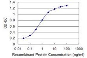Detection limit for recombinant GST tagged SUPT16H is 0. (SUPT16H antibody  (AA 608-715))