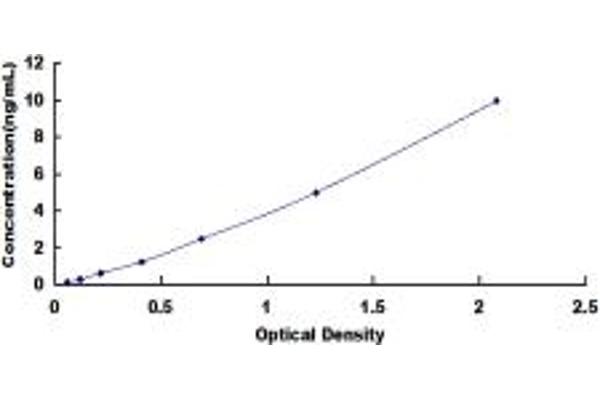 PLP2 ELISA Kit