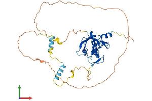 AlphaFold protein structure predicition of Human Recombinant PDLIM2 Protein, UniprotID Q96JY6