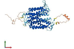 AlphaFold protein structure predicition of Mouse Recombinant Mfsd8 Protein, UniprotID Q8BH31 (MFSD8 Protein (AA 1-519) (His tag))
