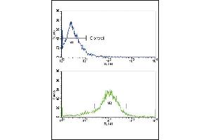 Flow cytometric analysis of MCF-7 cells using RET Antibody (N-term Q28) (bottom histogram) compared to a negative control (top histogram). (Ret Proto-Oncogene antibody  (N-Term))