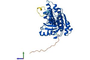Protein Structure (PS) image for DNA Meiotic Recombinase 1 (DMC1) (AA 1-340) protein (His tag) (ABIN7547094)