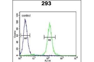 SUV4-20H2 Antibody (Center) (ABIN390405 and ABIN2840796) flow cytometric analysis of 293 cells (right histogram) compared to a negative control cell (left histogram). (SUV420H2/KMT5C antibody  (AA 187-214))