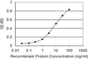 Detection limit for recombinant GST tagged RAD51 is 0. (RAD51 antibody  (AA 1-242))