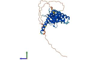 Protein Structure (PS) image for FK506 Binding Protein Like (FKBPL) (AA 1-347) protein (His tag) (ABIN7562321)